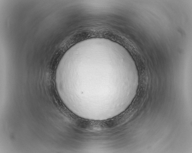 X0000115160757200911171301