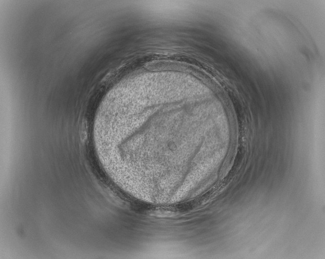 X0000115160758200911171301