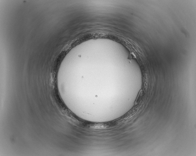 X0000115160759200911171301