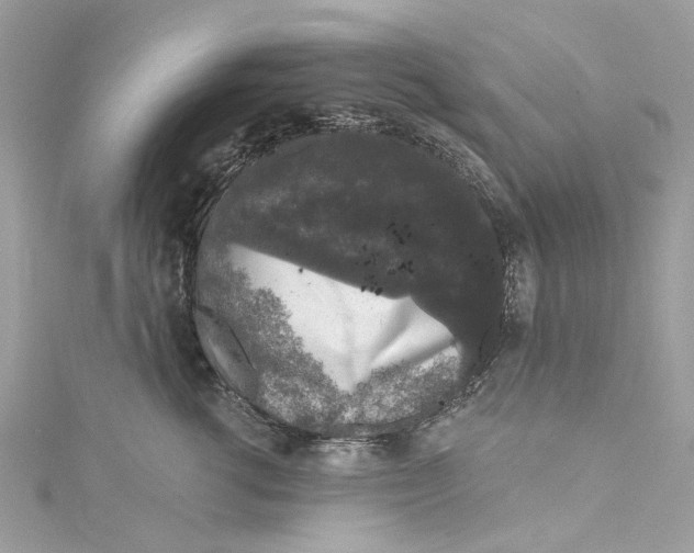 X0000115160762200911171301