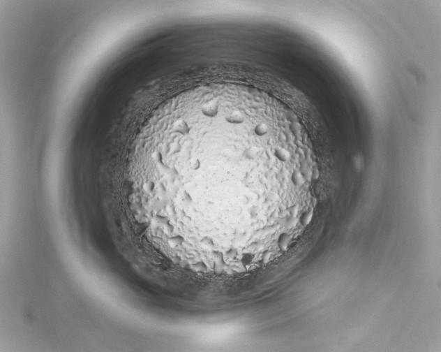 X0000115160765200911171301