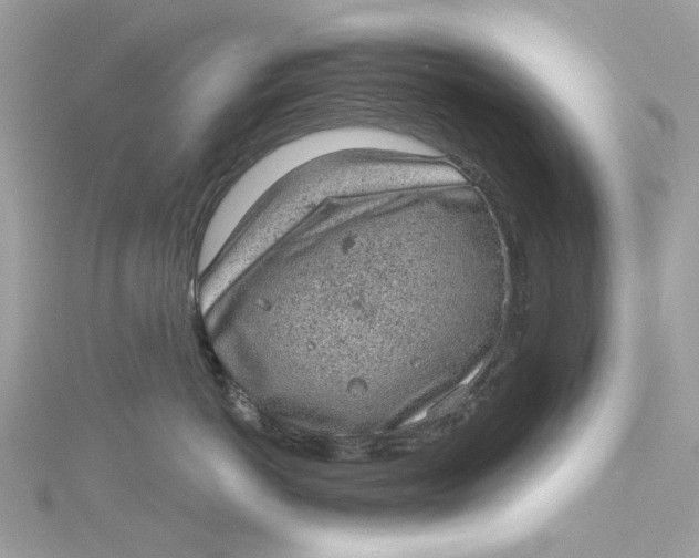 X0000115160766200911171301