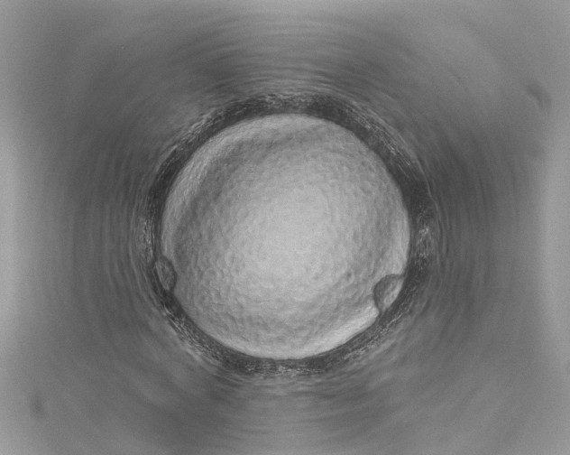 X0000115160772200911171301