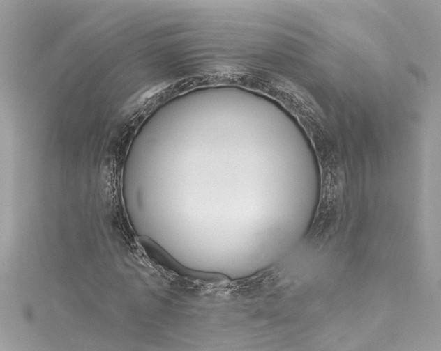 X0000115160773200911171301