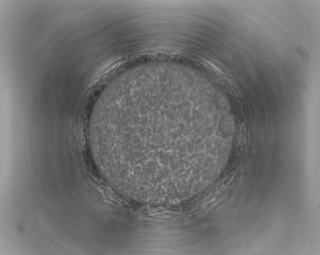 X0000115160774200911171301