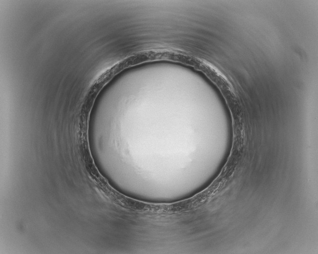 X0000115160775200911171301