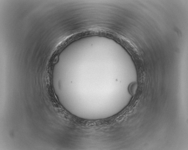 X0000115160776200911171301