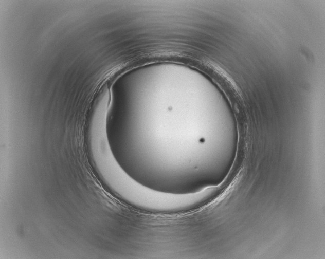 X0000115160777200911171301