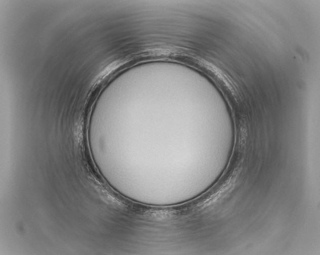 X0000115160778200911171301