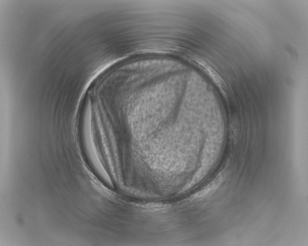 X0000115160779200911171301