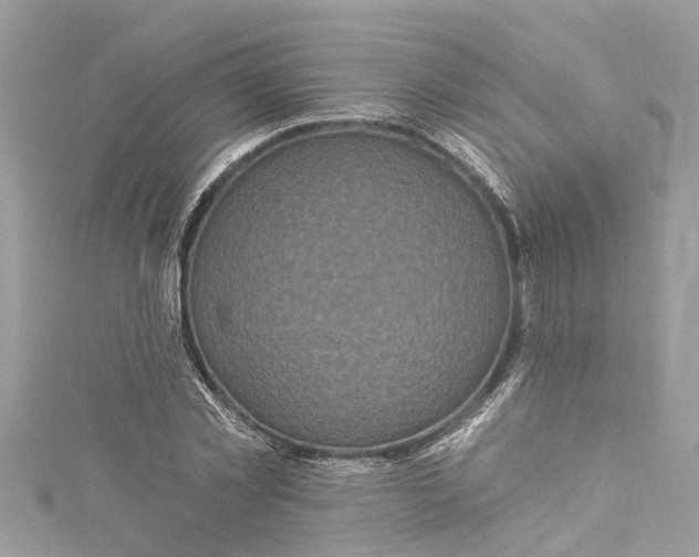 X0000115160781200911171301