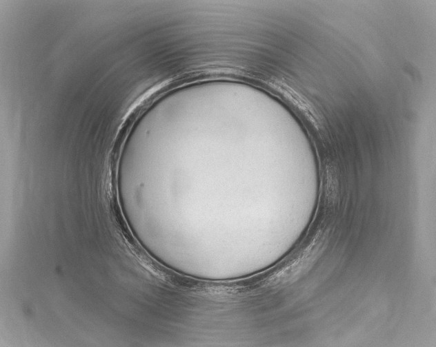 X0000115160782200911171301