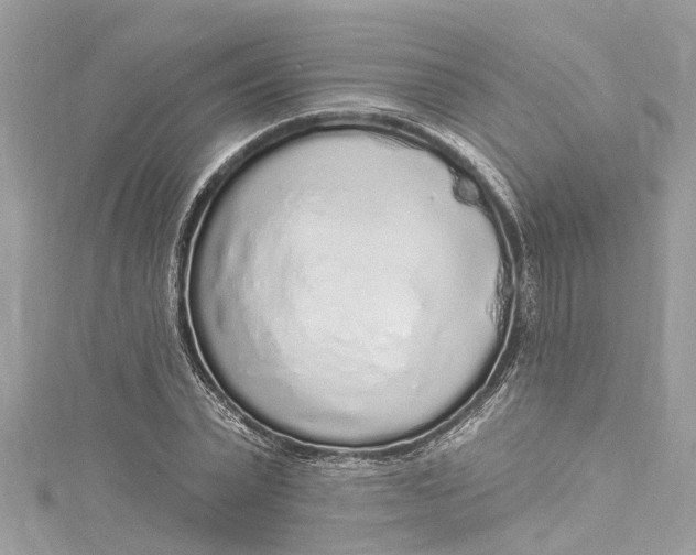 X0000115160783200911171300