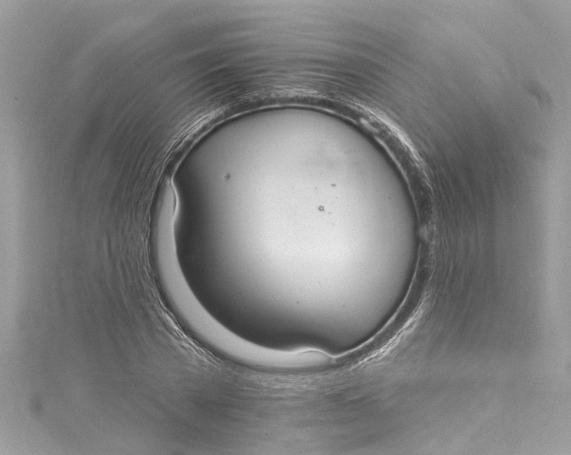 X0000115160785200911171300