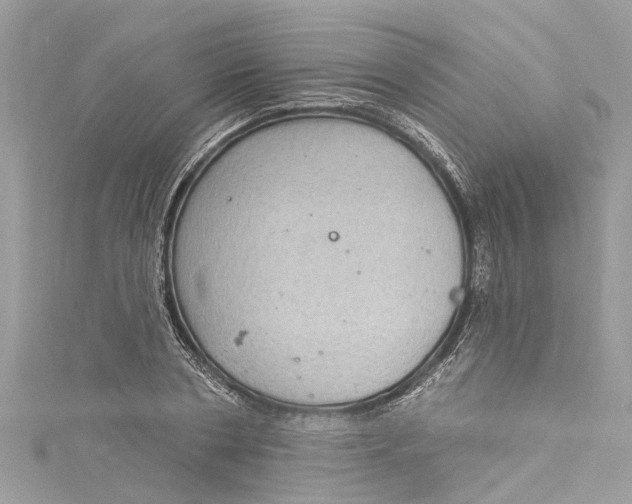 X0000115160786200911171300