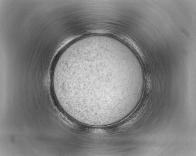 X0000115160787200911171300