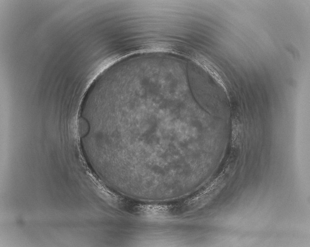 X0000115160789200911171300