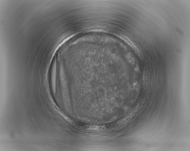 X0000115160790200911171300