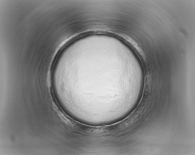 X0000115160791200911171300