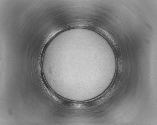 X0000115160794200911171300