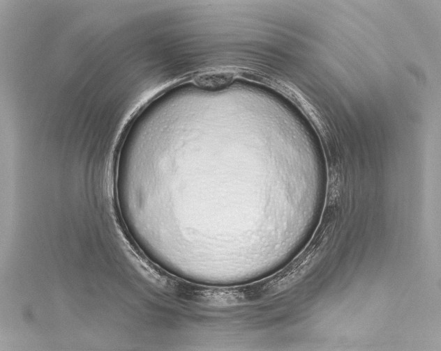 X0000115160795200911171300