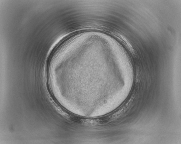 X0000115160796200911171300