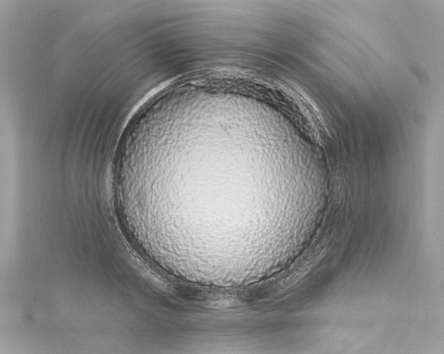 X0000115160798200911171300