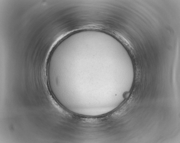 X0000115160800200911171300