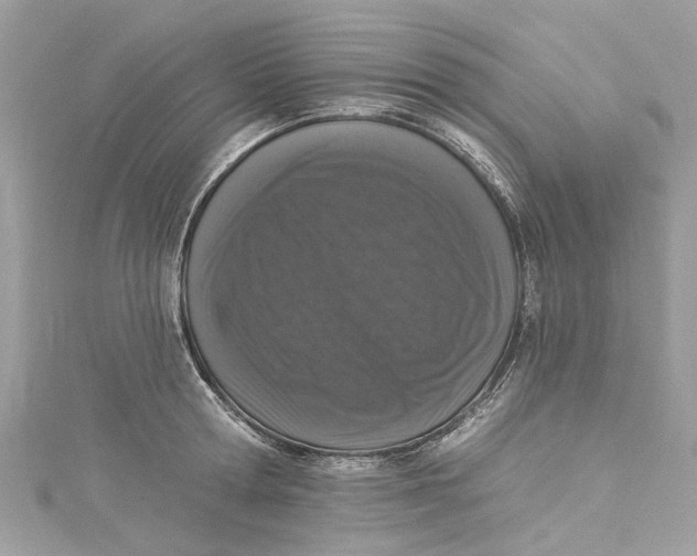 X0000115160802200911171300