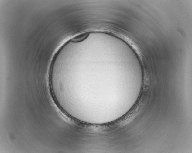 X0000115160803200911171300