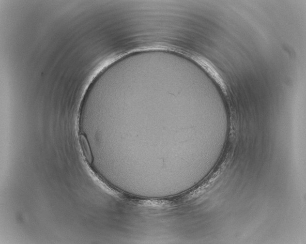 X0000115160805200911171300