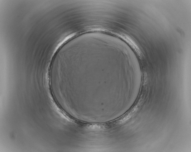 X0000115160806200911171300