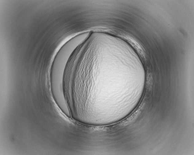 X0000115160808200911171300