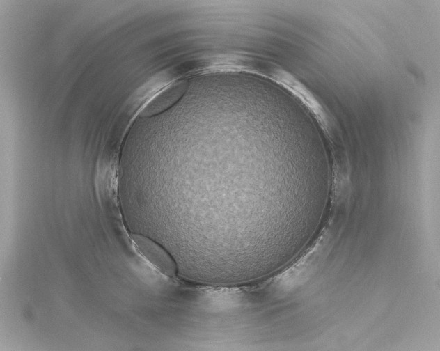 X0000115160809200911171300