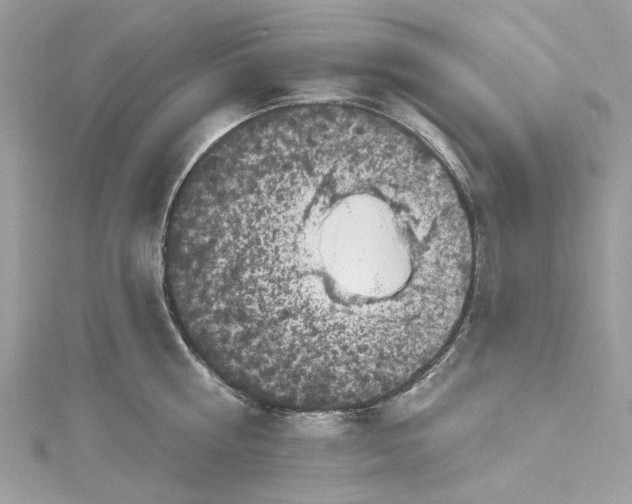 X0000115160810200911171300