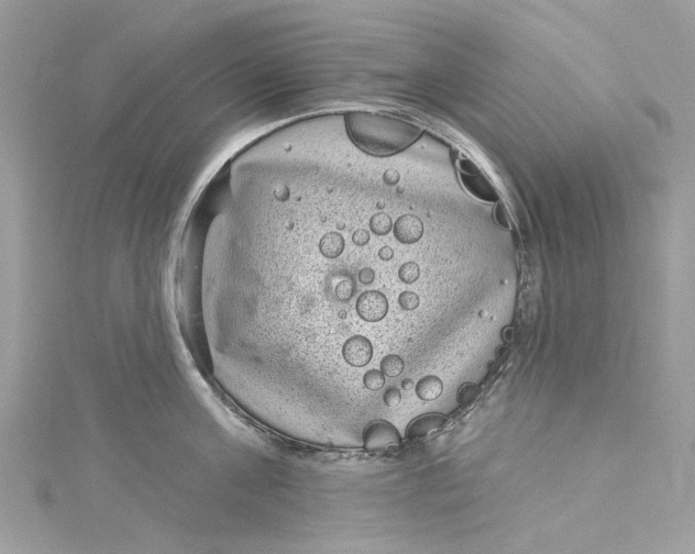 X0000115160811200911171300