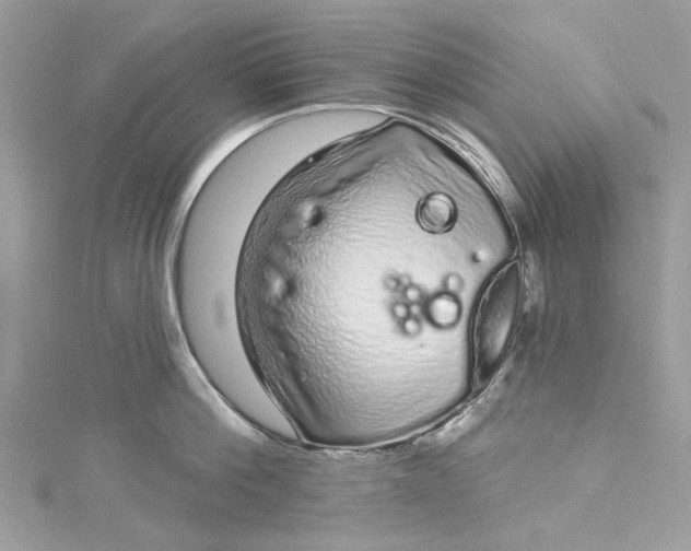 X0000115160812200911171300