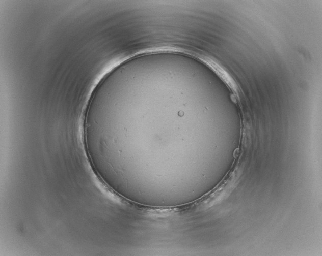 X0000115160813200911171300