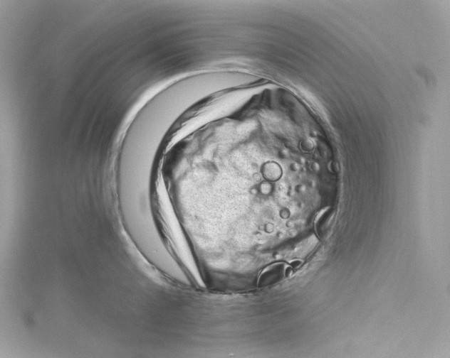 X0000115160816200911171300