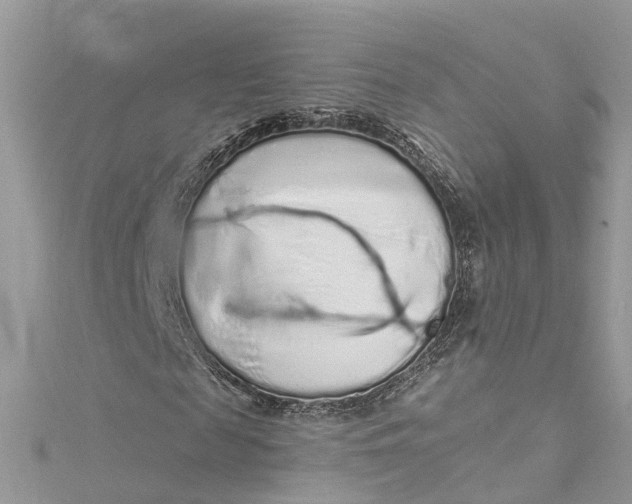 X0000115160817200911171259