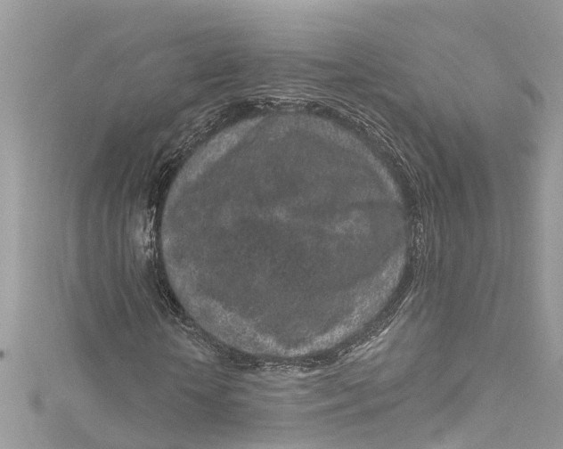 X0000115160818200911171259