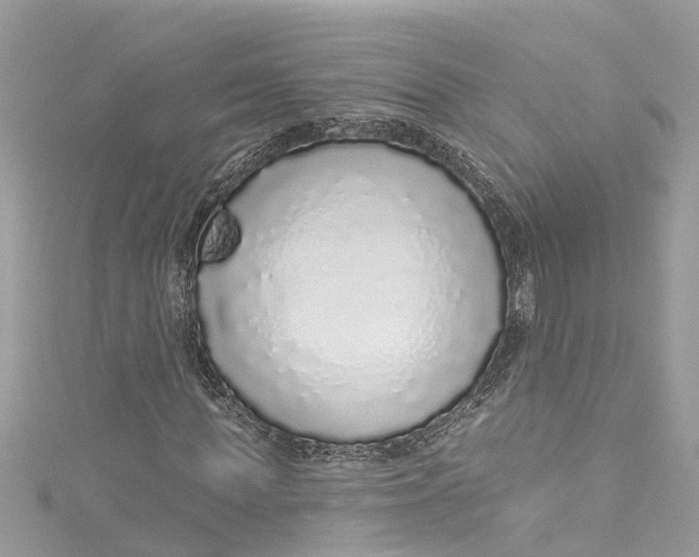 X0000115160819200911171259