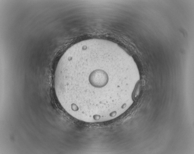 X0000115160820200911171259