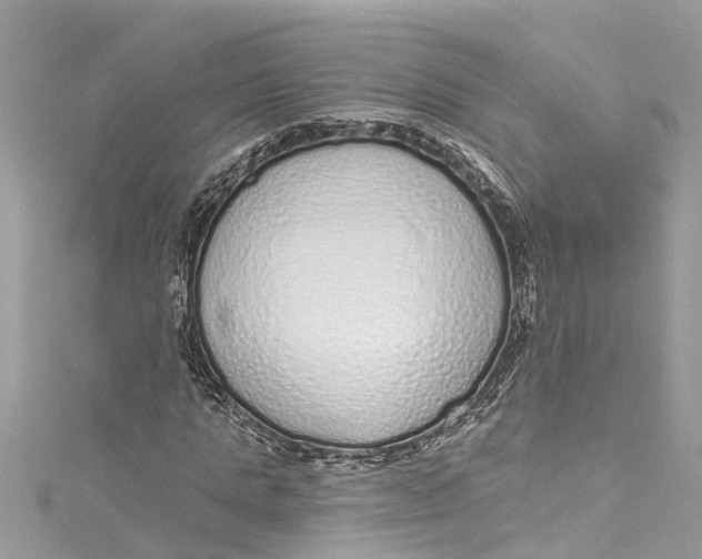 X0000115160821200911171300