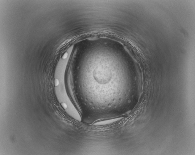 X0000115160824200911171300