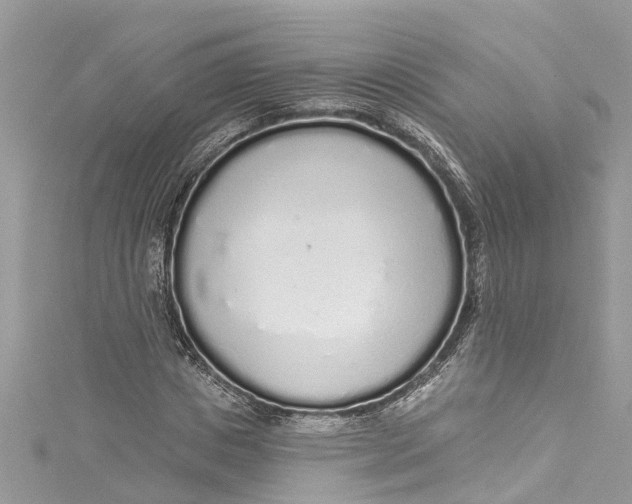 X0000115160825200911171300