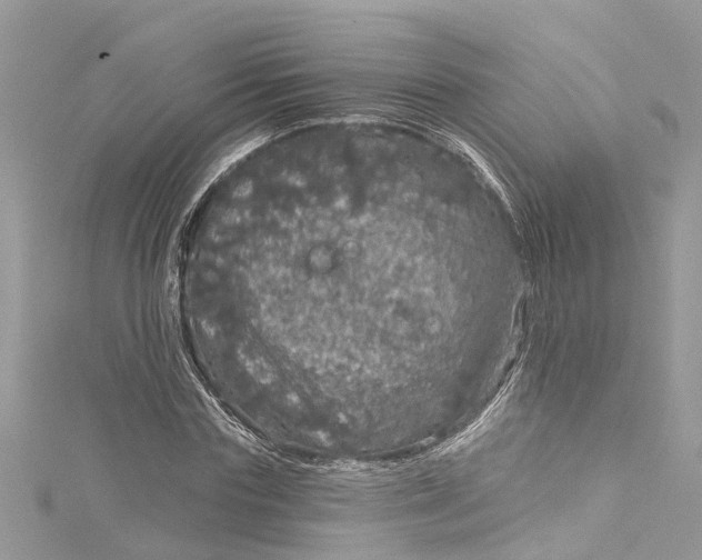 X0000115160827200911171300