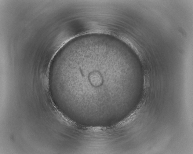 X0000115160828200911171300