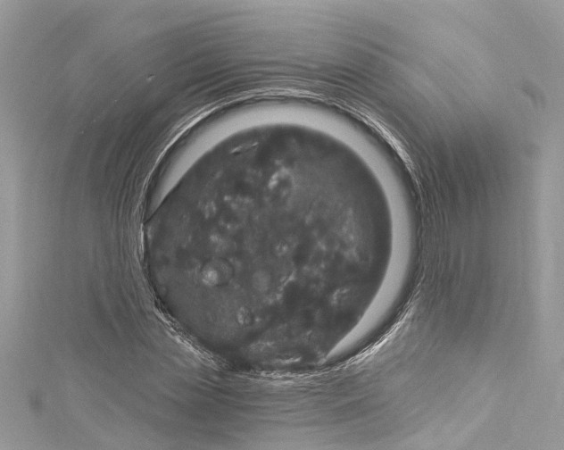 X0000115160829200911171300