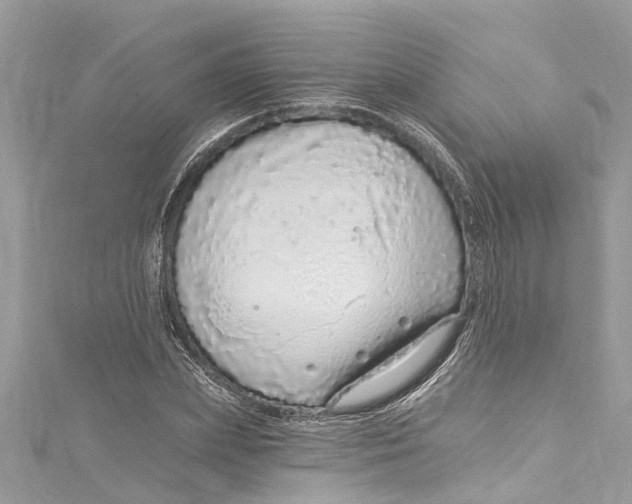 X0000115160831200911171300